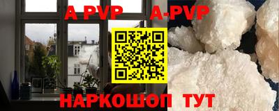 дмт Камышлов