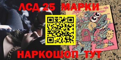 дмт Камышлов