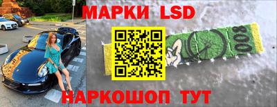 дмт Камышлов