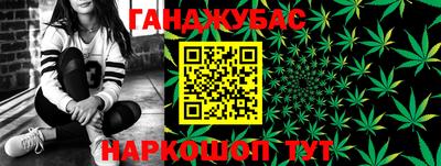 крисы Кандалакша