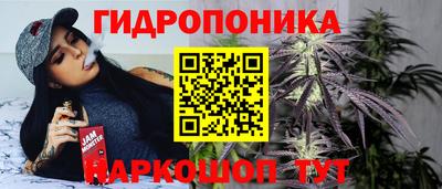крисы Кандалакша