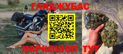 крисы Кандалакша