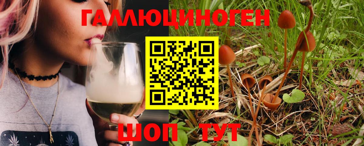 Псилоцибиновые грибы GOLDEN TEACHER  где можно купить   Псилоцибиновые грибы GOLDEN TEACHER  Ликино-Дулёво  Вход с VPN 